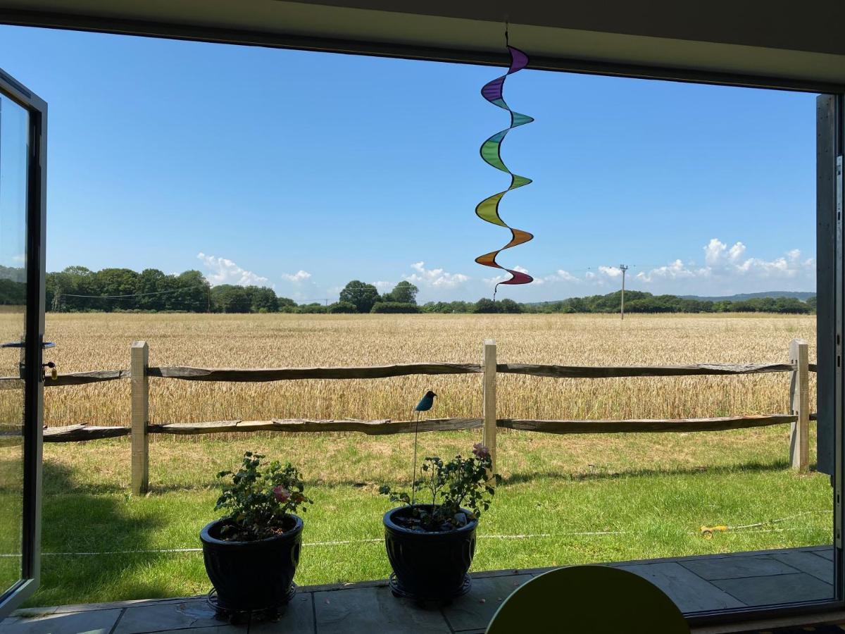 Flint House - Goodwood Events Bed and Breakfast Τσίτσεστερ Εξωτερικό φωτογραφία