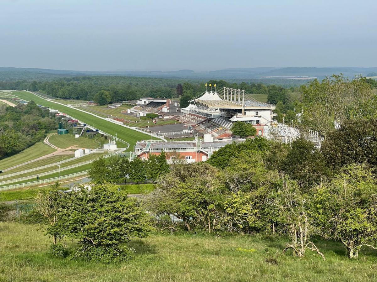 Flint House - Goodwood Events Bed and Breakfast Τσίτσεστερ Εξωτερικό φωτογραφία
